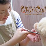 wan call
